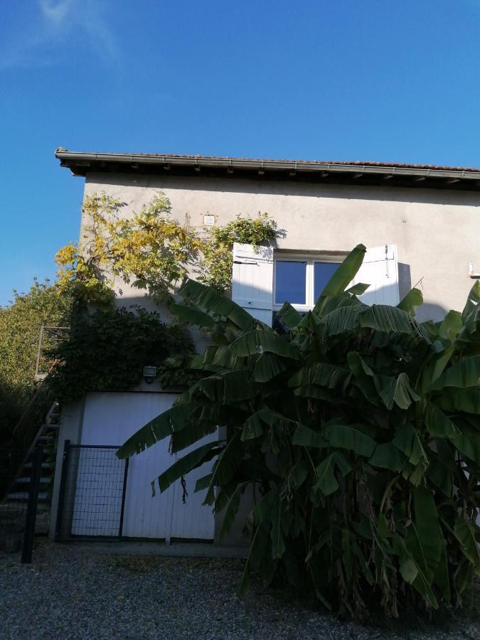 Le Grenier De Gaston Apartment Thouars-sur-Garonne Bagian luar foto
